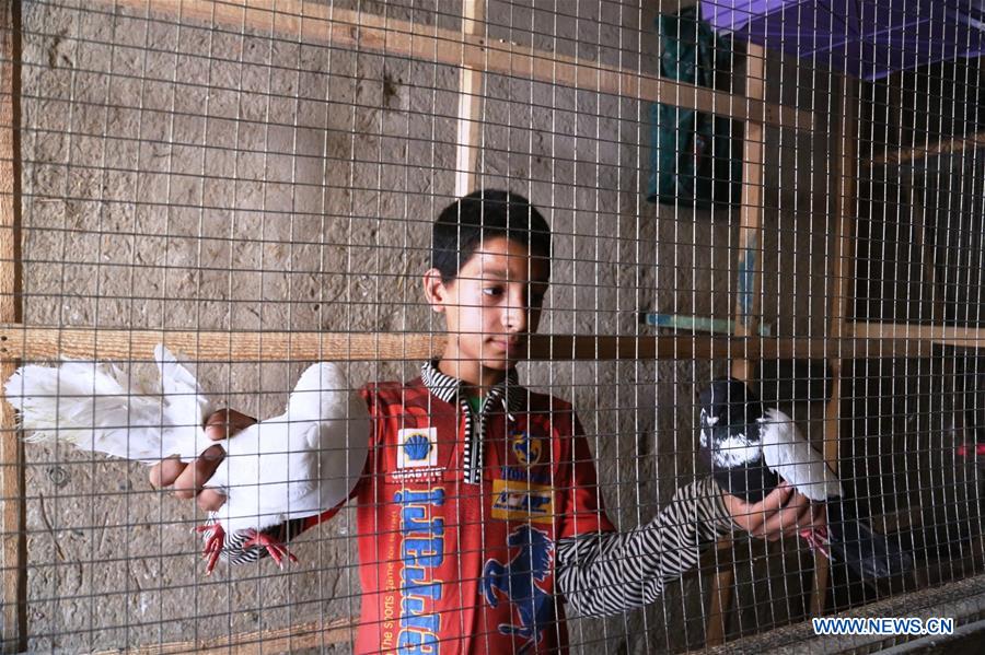 An Afghan vendor waits for customers at a bird shop in Kabul, capital of Afghanistan, on July 26, 2016.