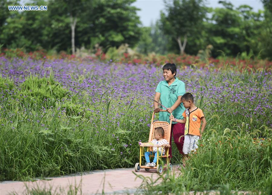 #CHINA-SHANDONG-ZOUPING-WATER ECOLOGICAL PROTECTION (CN)