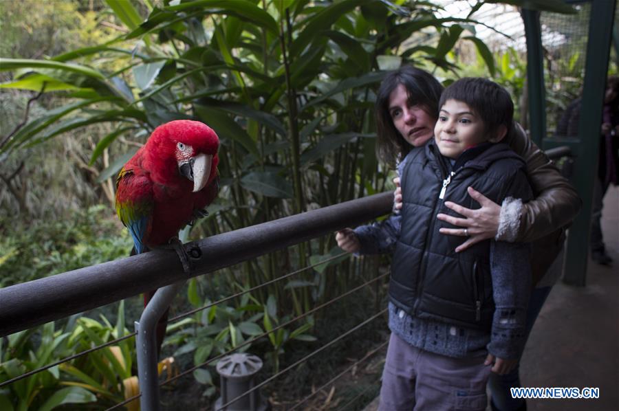 A boy and his mother watch a macaw at the Temaiken Biopark, in Escobar city, 50 km from Buenos Aires, capital of Argentina, on July 27, 2016.