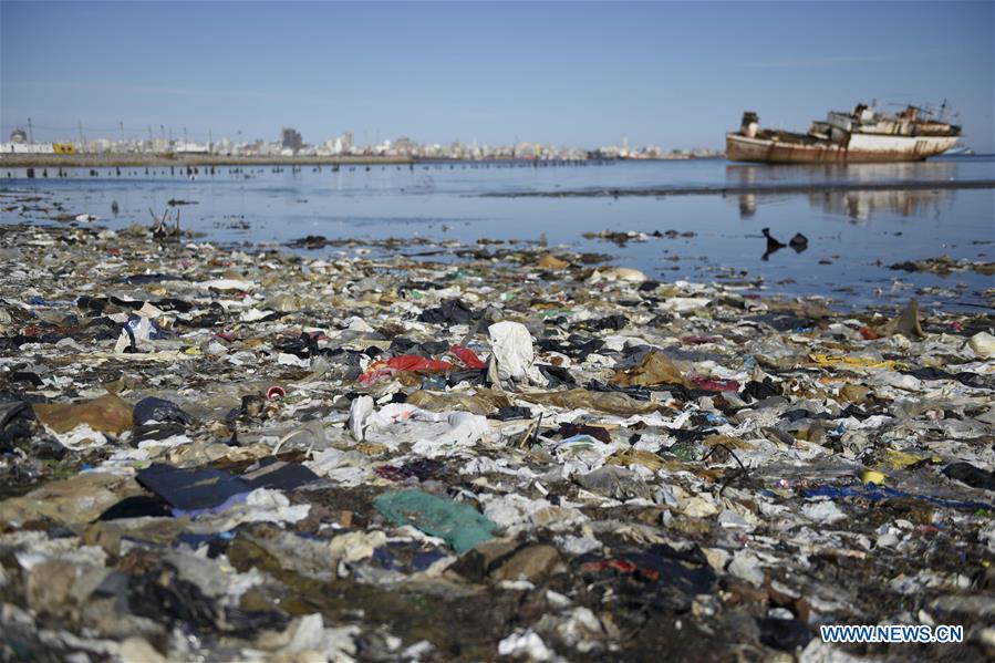 Discarded plastic bags remain stuck on a port bank in Montevideo, capital of Uruguay, on July 28, 2016.