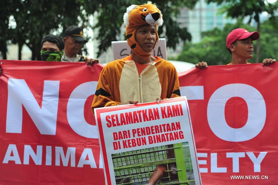 INDONESIA-JAKARTA-ANIMAL ABUSE-PROTEST
