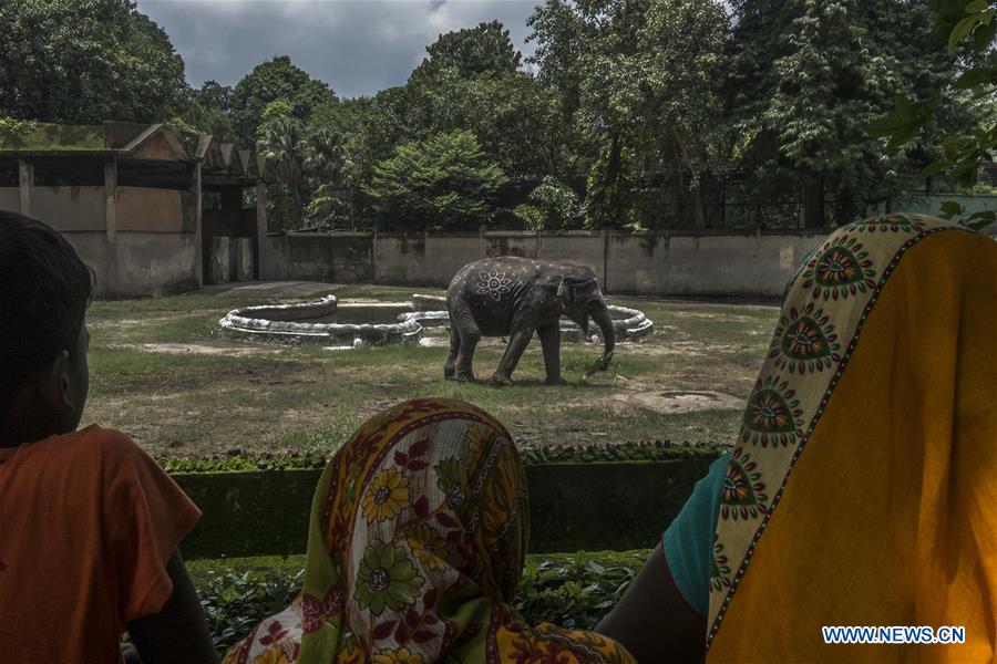 INDIA-KOLKATA-WORLD ELEPHANT DAY
