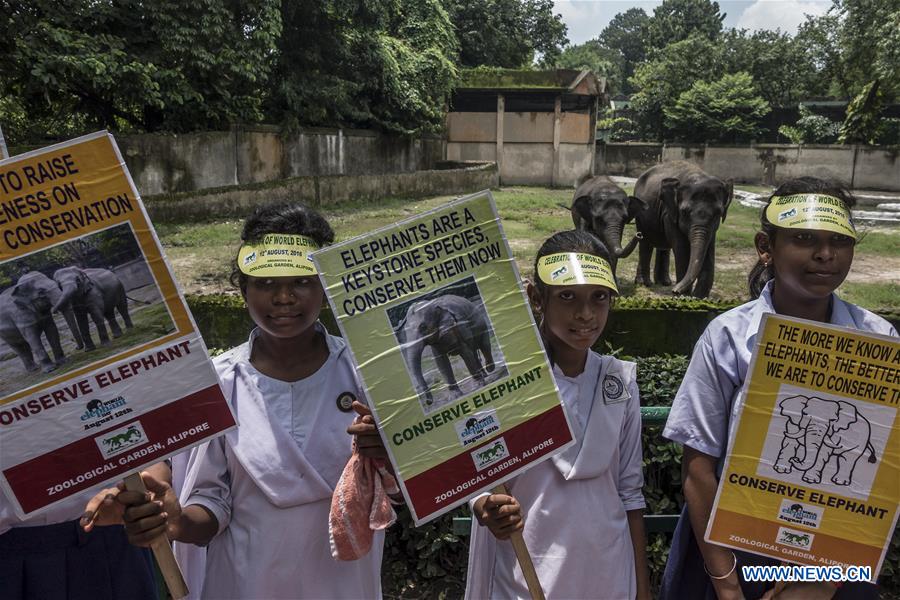 INDIA-KOLKATA-WORLD ELEPHANT DAY
