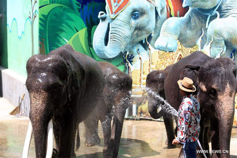 A zookeeper sprays water onto elephants to cool them off in Dalian Forest zoo in Dalian, northeast China's Liaoning Province, Aug. 16, 2016. 