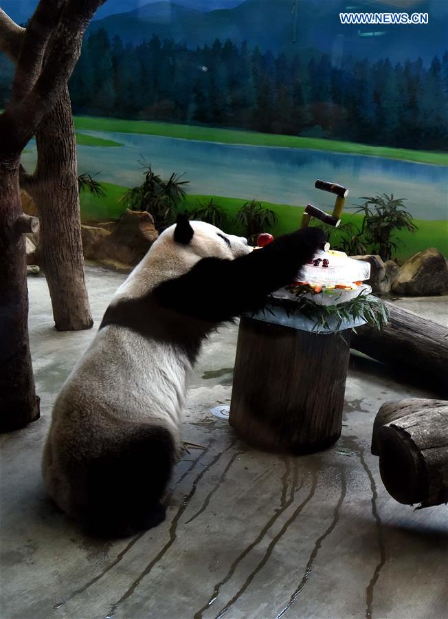 CHINA-TAIPEI-GIANT PANDAS-BIRTHDAY (CN)