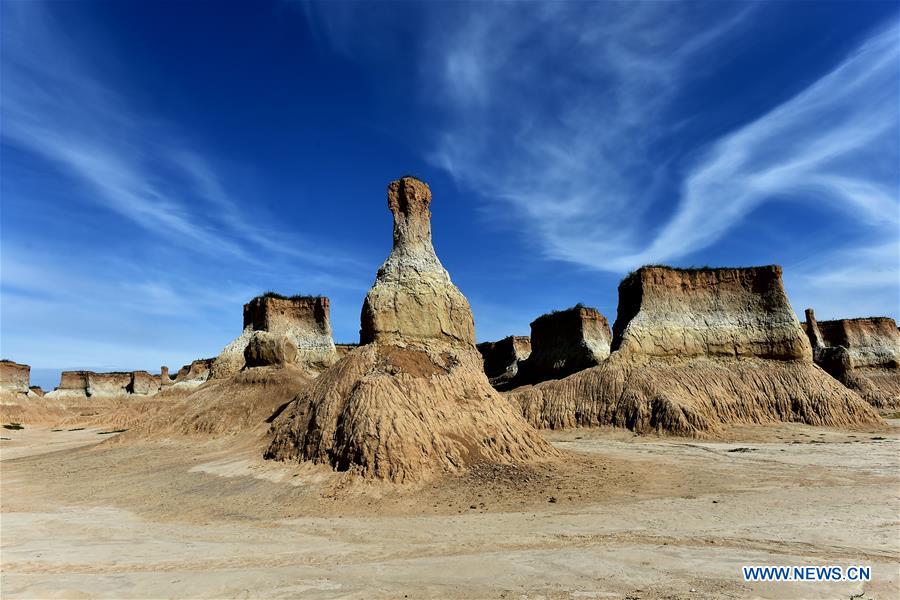 CHINA-SHANXI-DATONG-"SOIL FOREST" (CN) 