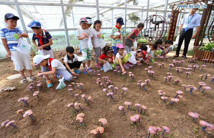 #CHINA-QINGDAO-CHILDREN-AGRICULTURAL DEMONSTRATION BASE-CLASS(CN)