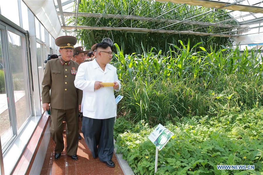 DPRK-FARM-KIM JONG UN-FIELD GUIDANCE 