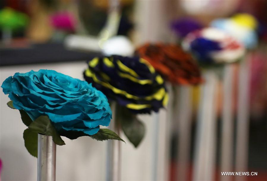 Flowers painted in colors are shown during the 2016 Agriflor Fair in Quito, Ecuador, Oct. 7, 2016.
