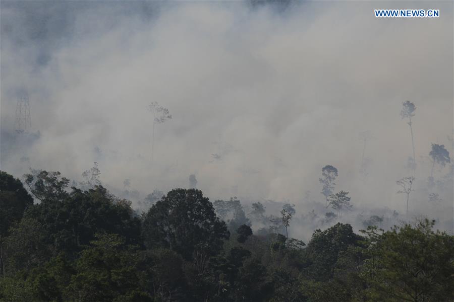 INDONESIA-ACEH-FOREST FIRE