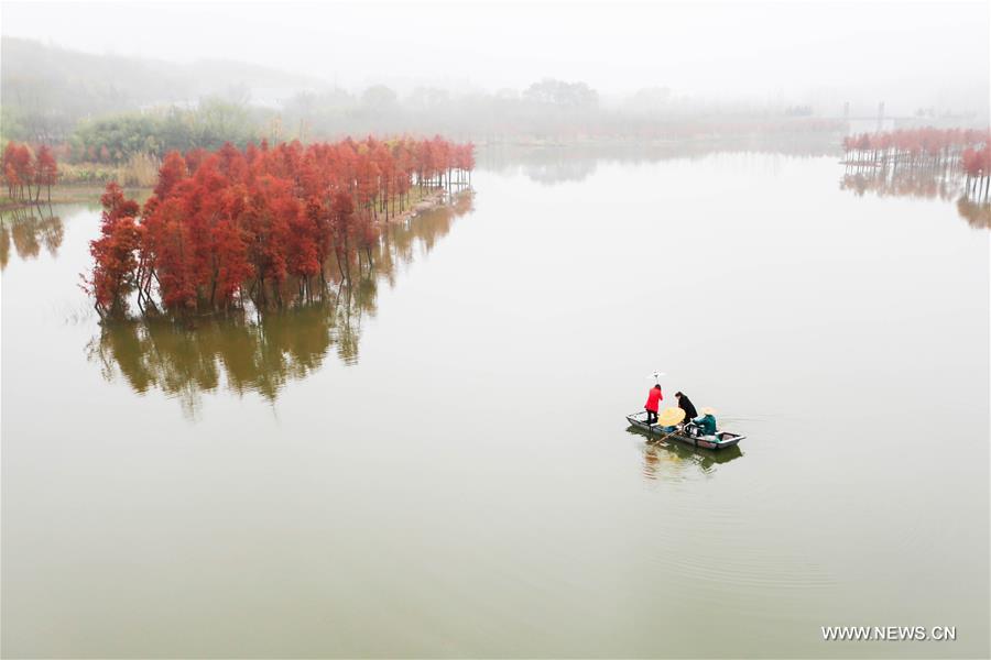 CHINA-JIANGSU-TIANQUAN LAKE-REDWOODS (CN)