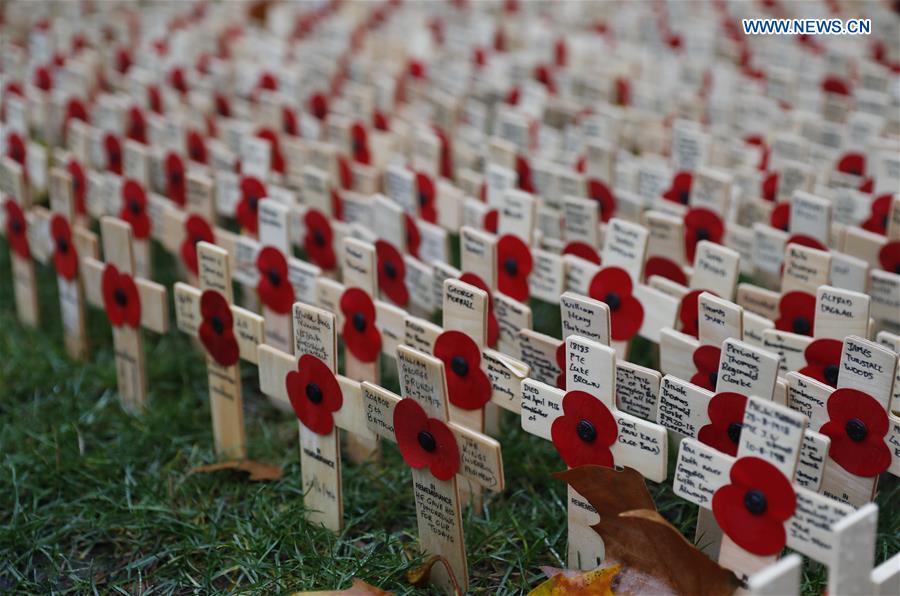 BRITAIN-LONDON-ARMISTICE DAY-POPPIES AND CROSSES