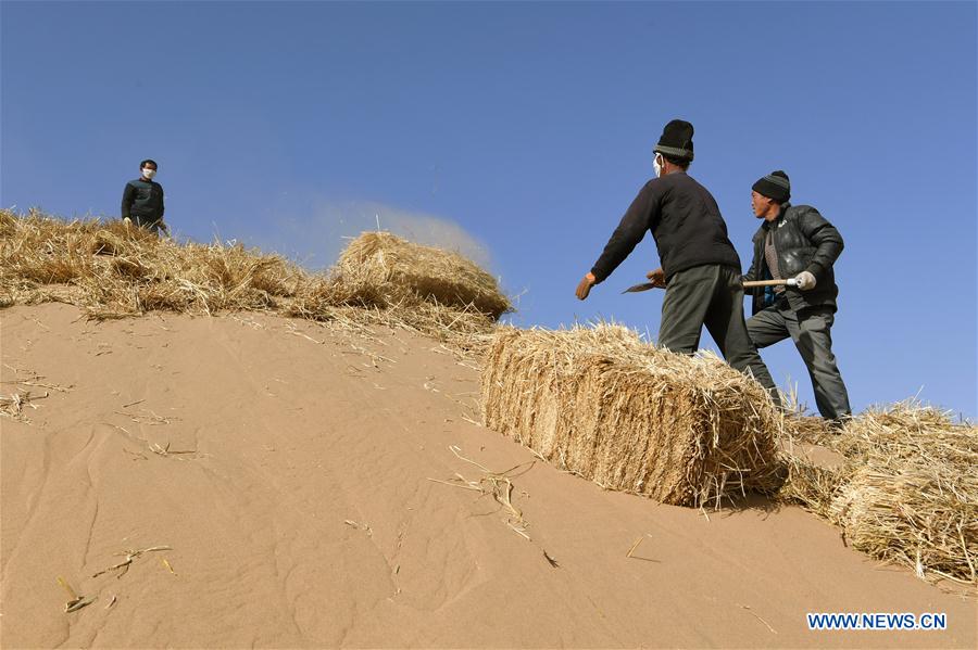 CHINA-GANSU-DESERT-SAND STABILIZATION OPERATION (CN)