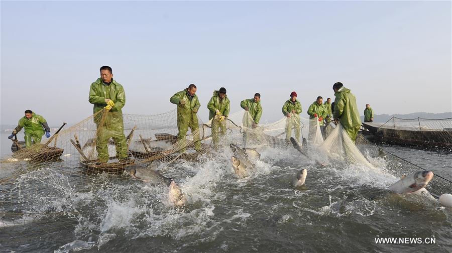 #CHINA-JIANGXI-FISHING SEASON(CN) 