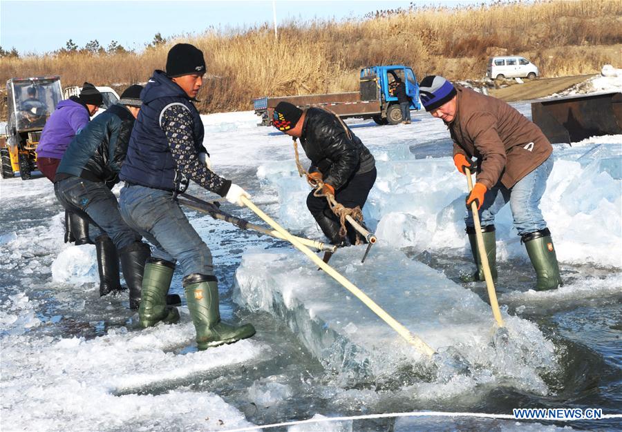 #CHINA-HARBIN-SONGHUA RIVER-ICE COLLECTING (CN) 