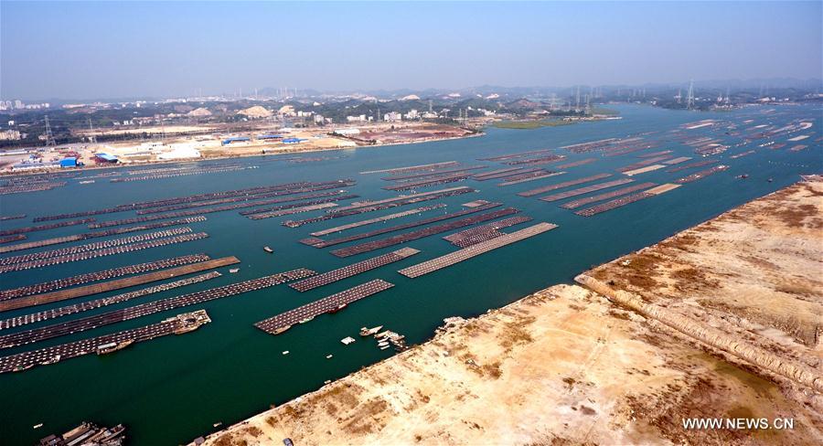 Photo taken on Dec. 7, 2016 shows floating rafts for oyster culture in the Maowei Sea in Qinzhou City, south China's Guangxi Zhuang Autonomous Region.