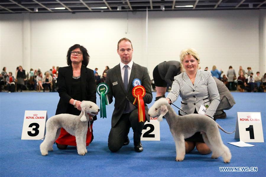FINLAND-DOGS-COMPETITION