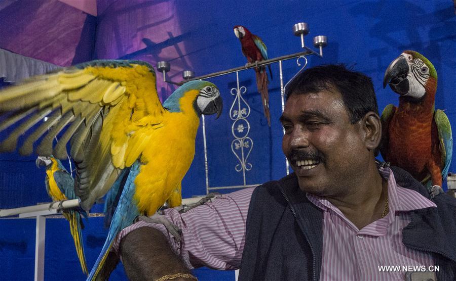 INDIA-KOLKATA-BIRD SHOW