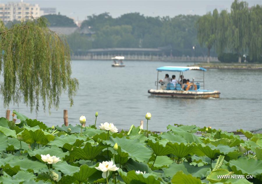 CHINA-JINAN-DAMING LAKE-TICKET FREE (CN)