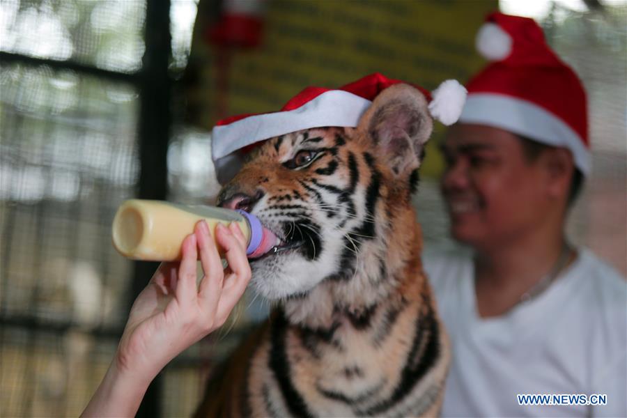 PHILIPPINES-MALABON CITY-ZOO ANIMAL-CHRISTMAS PARTY