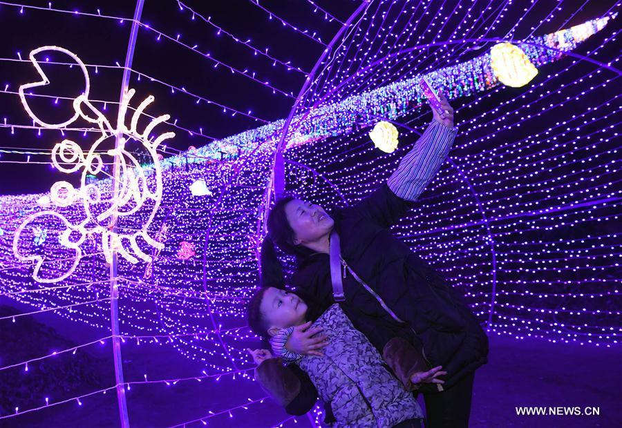 Tourists enjoy the night view at a light carnival in Fuling District of southwest China's Chongqing, Dec. 22, 2016.