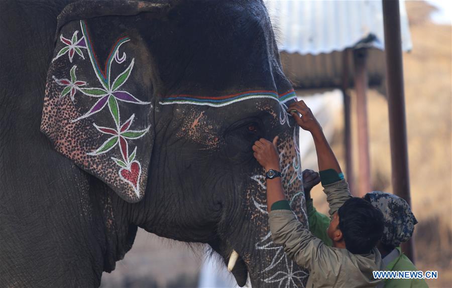 NEPAL-CHITWAN-ELEPHANT FESTIVAL