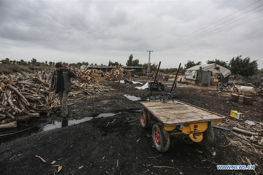 MIDEAST-GAZA-FIREWOOD-COLLECTING