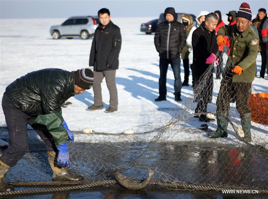 A fisherman holds a big fish during winter fishing at Wolong Lake of Kangping County, northeast China's Liaoning Province, Jan. 5, 2017. 