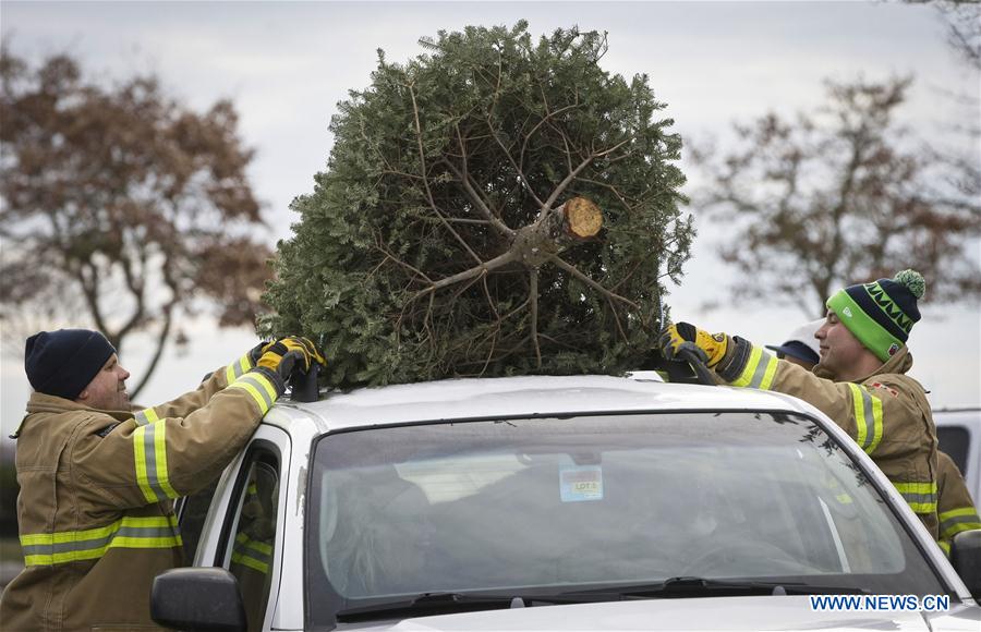 CANADA-RICHMOND-CHRISTMAS TREES-RECYCLING
