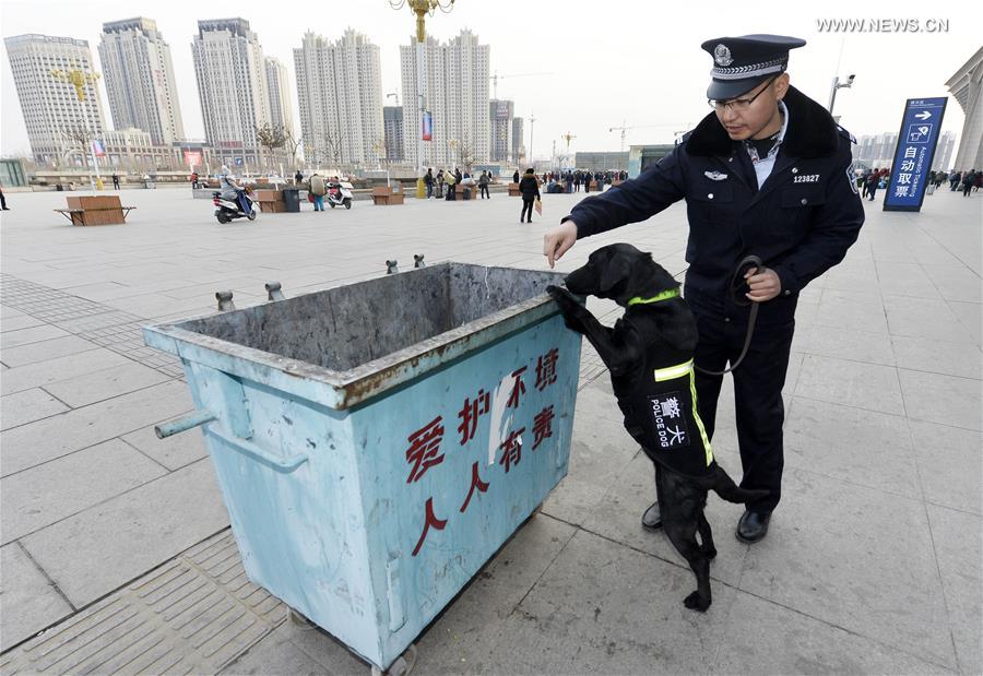 CHINA-YINCHUAN-POLICE DOGS-TRAINING (CN)