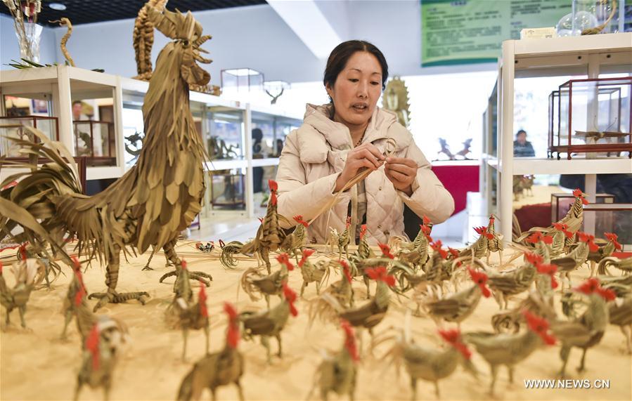 Jia Shujuan made nearly 100 palm-plaited roosters in a month for the upcoming Chinese traditional lunar New Year of Rooster, which starts from Jan. 28 this year.