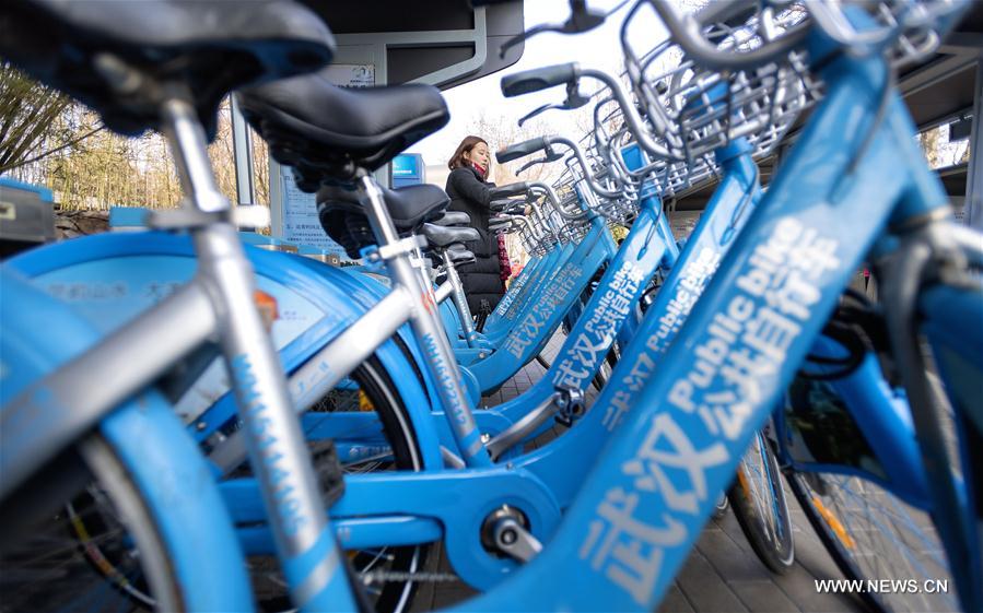 More than 50,000 bikes were hired every day on average. 