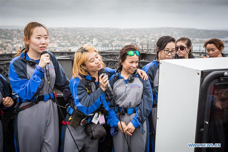Chinese tourists participate in Bridge Climb at 