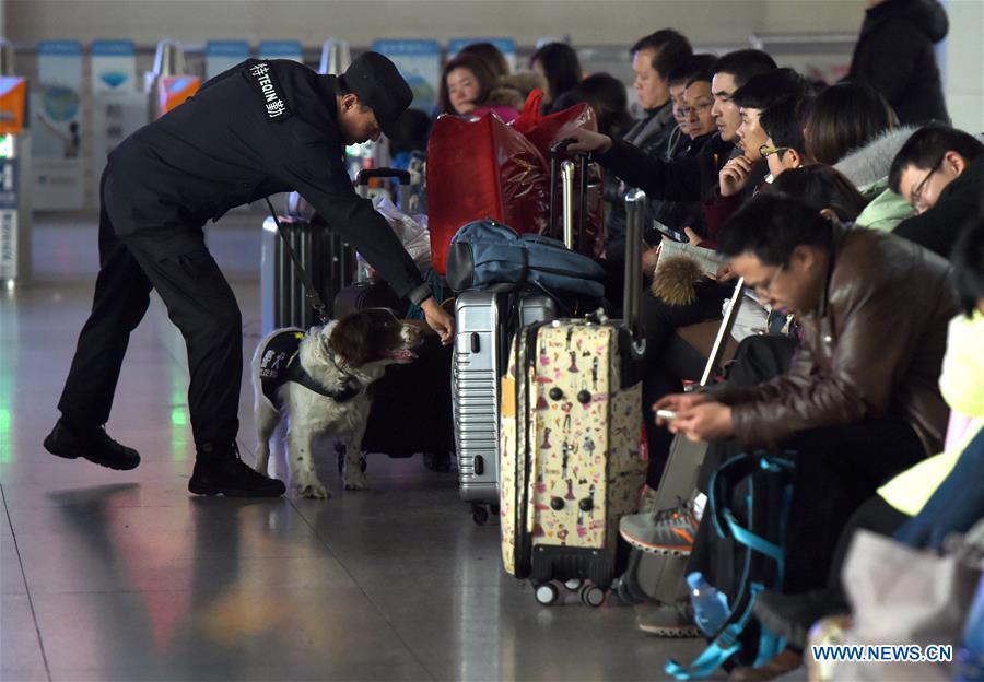 Trainer Yang Naiwen and police dog Tiehu check passengers' luggage at the Hefei Railway Station in Hefei, capital of east China's Anhui Province, Jan. 24, 2017. Many police dogs are on duty during China's Spring Festival travel rush between Jan. 13 and Feb. 21. This is the 7th time for Tiehu, an 8-year-old sniffer dog, to serve the travel rush around the Spring Festival, which falls on Jan. 28 this year. (Xinhua/Guo Chen) 