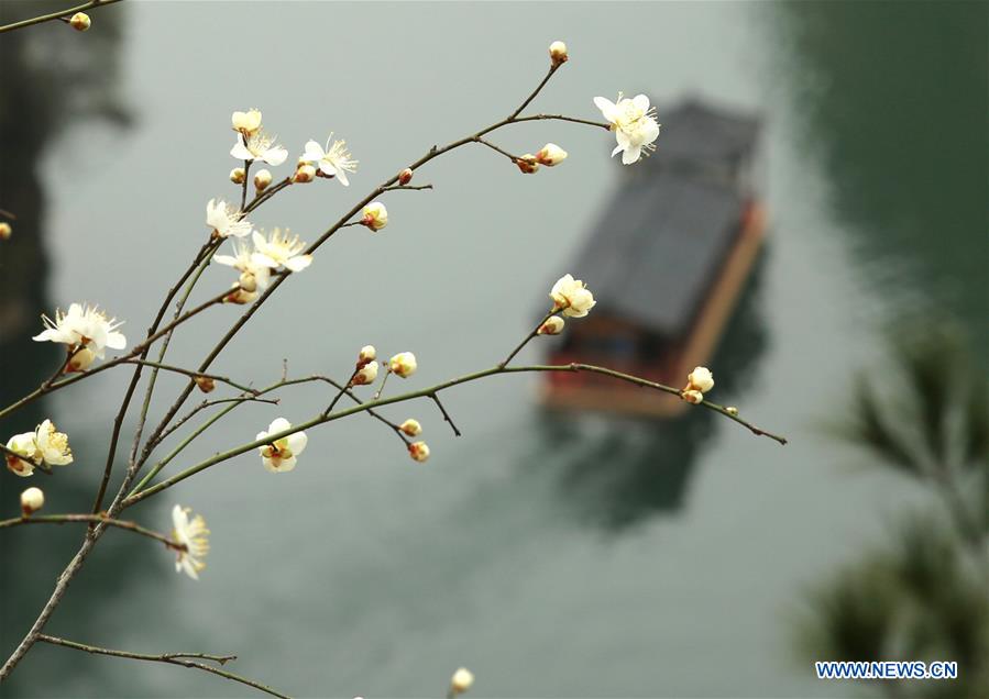 #CHINA-EARLY SPRING-SCENERY (CN)