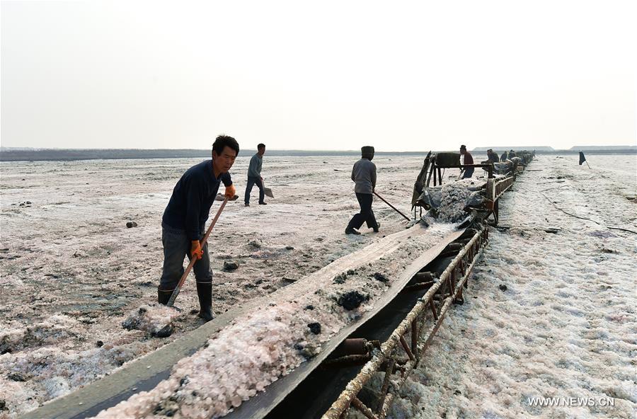 Workers shovel magnesium sulfate on the salt lake of Yuncheng, north China's Shanxi Province, Feb. 16, 2017. (Xinhua/Cao Yang) 