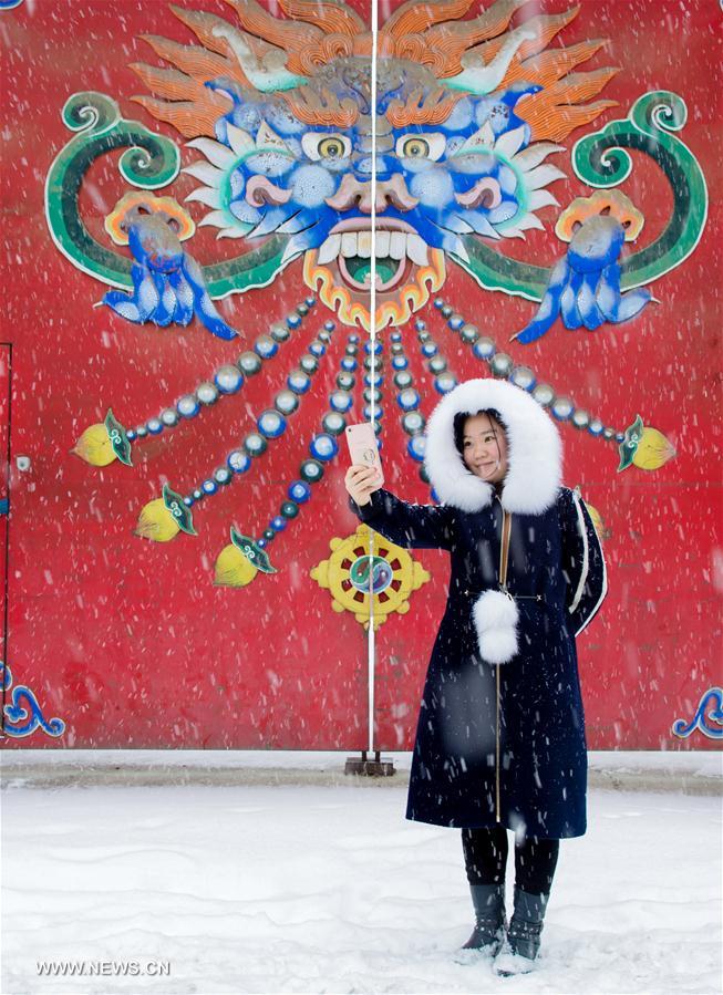 #CHINA-NORTH REGION-SNOWFALL (CN)