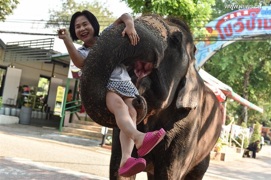 An Asian elephant holds up a tourist with its trunk at a zoo in central Thailand's Chonburi Province, March 1, 2017.