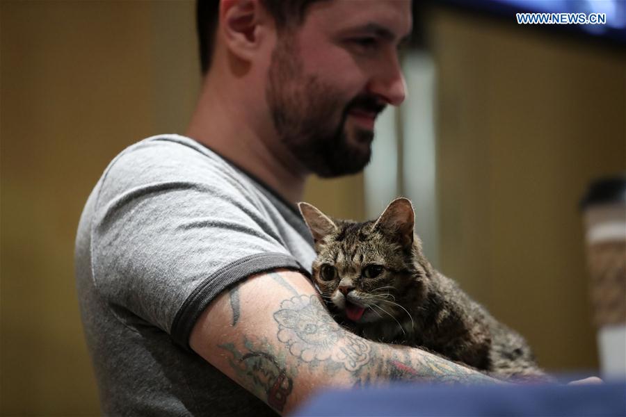 U.S. celebrity cat Lil Bub is seen during a presentation given by its owner Mike Bridavsky at the Cat Camp held in New York, the United States, March 11, 2017. 