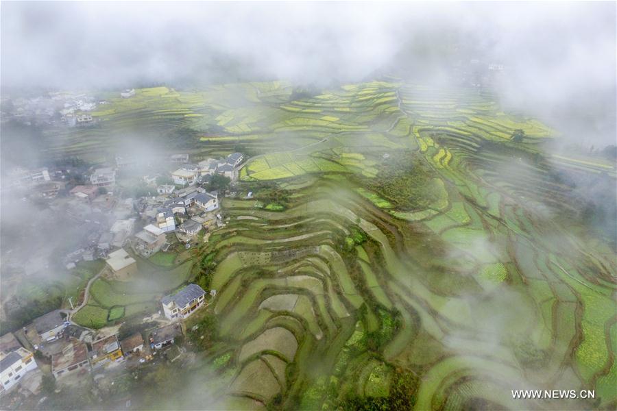 Photo taken on March 15, 2017 shows the aerial view of Shimen Village of Huaxi District under Guiyang City, capital of southwest China's Guizhou Province.
