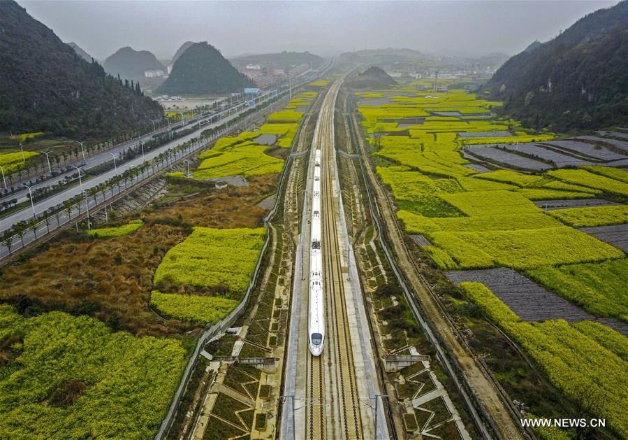 A high-speed train runs along the cole flowers at Anshun segment of Shanghai-Kunming high-speed railway in Anshun, southwest China's Guizhou Province, March 16, 2017. (Xinhua/Lu Wei) 