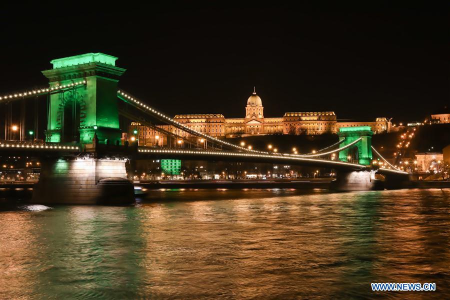 HUNGARY-BUDAPEST-ST. PATRICK'S DAY-GREEN LIGHT-CELEBRATION
