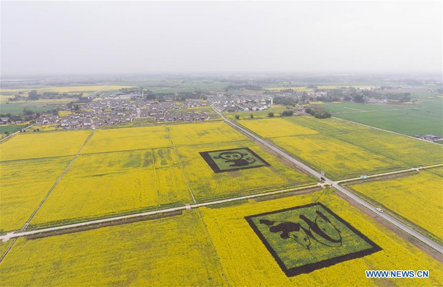 Photo taken on March 21, 2017 shows the farmland in Ranyi Township of Qionglai City, southwest China's Sichuan Province. In recent years, villages in Sichuan Province developed the countryside tourism by improving the service and environment. (Xinhua/Jiang Hongjing) 