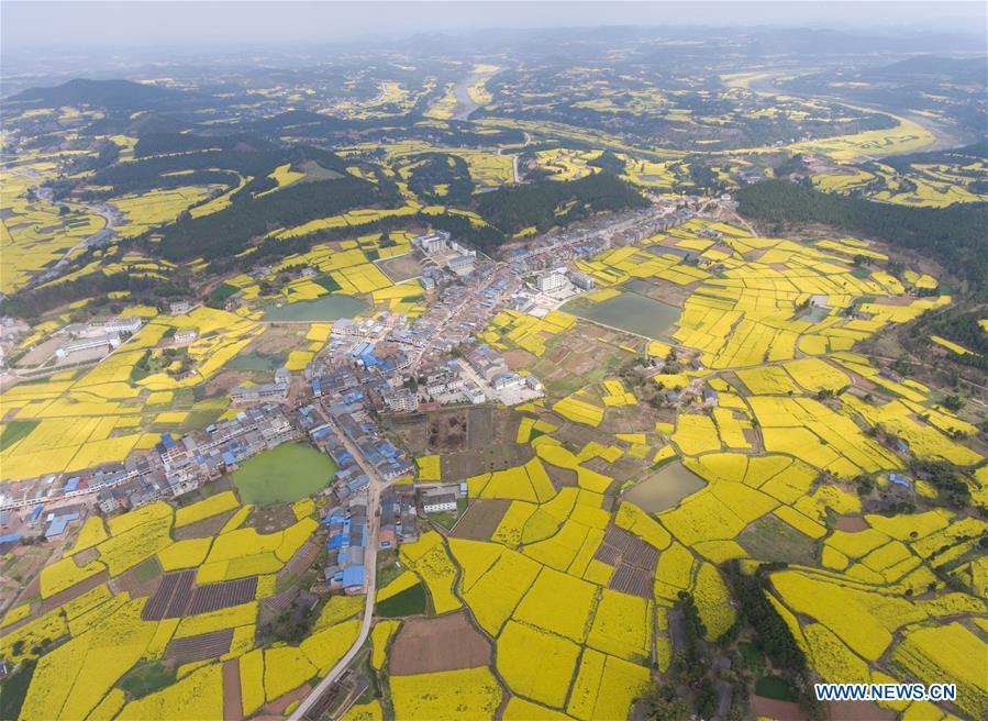 Photo taken on March 20, 2017 shows the farmland in Longshu Township of Santai County, southwest China's Sichuan Province. In recent years, villages in Sichuan Province developed the countryside tourism by improving the service and environment. (Xinhua/Jiang Hongjing) 