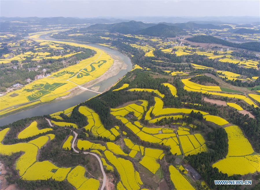 Photo taken on March 20, 2017 shows the farmland in Longshu Township of Santai County, southwest China's Sichuan Province. In recent years, villages in Sichuan Province developed the countryside tourism by improving the service and environment. (Xinhua/Jiang Hongjing) 