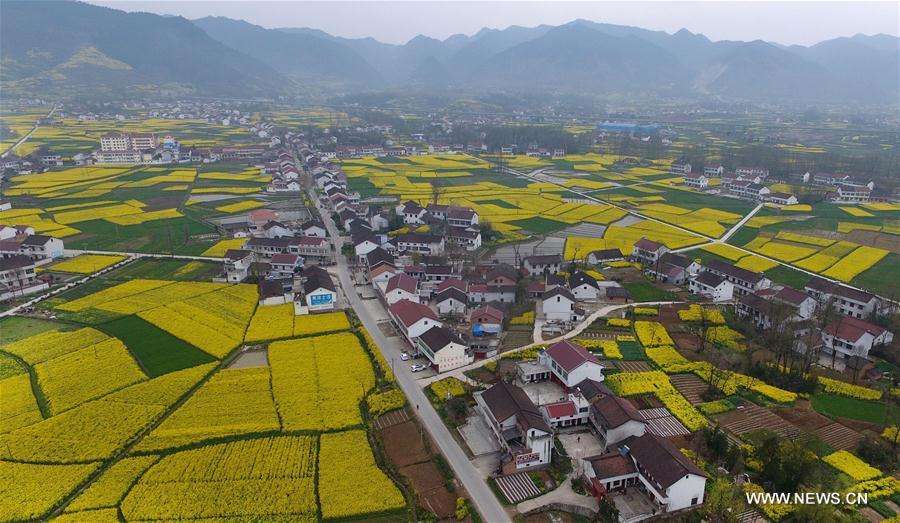 Hanzhong holds cole flower festival on March every year. 