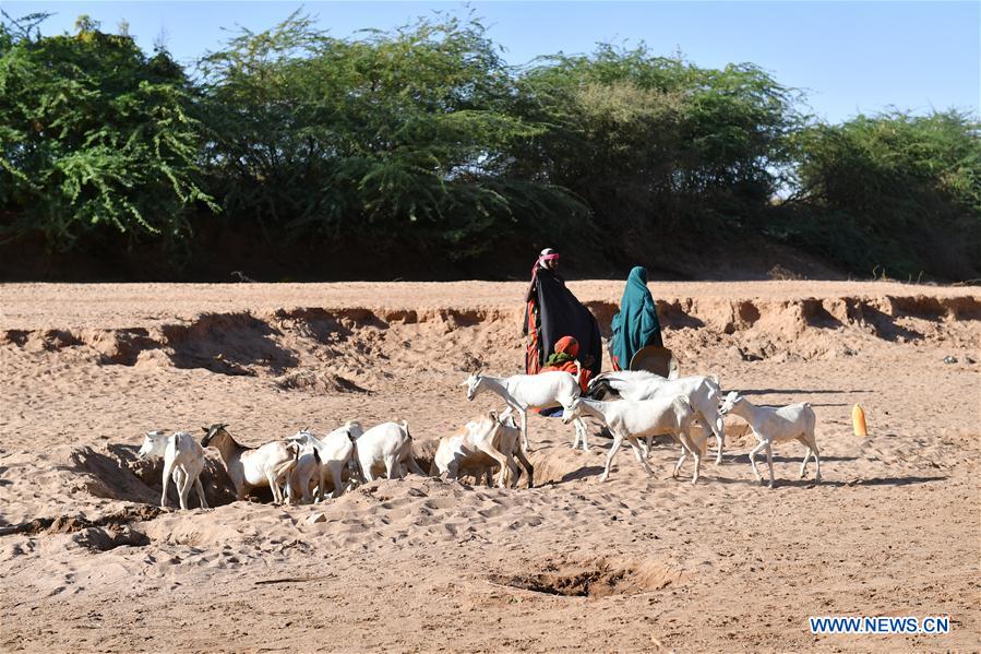 SOMALIA-DOOLOW-WORLD WATER DAY