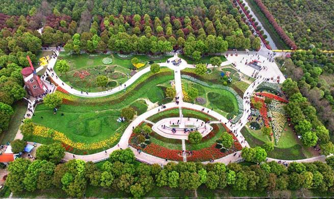 A look at tulip-themed park in Wuhan