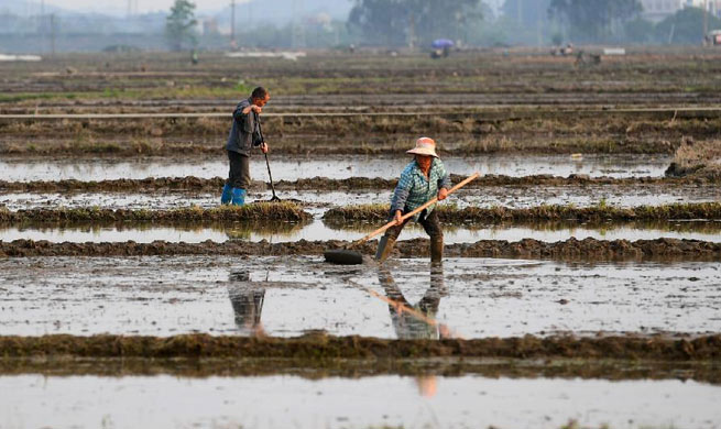 Farmers busy with farm work after "Qingming" around China