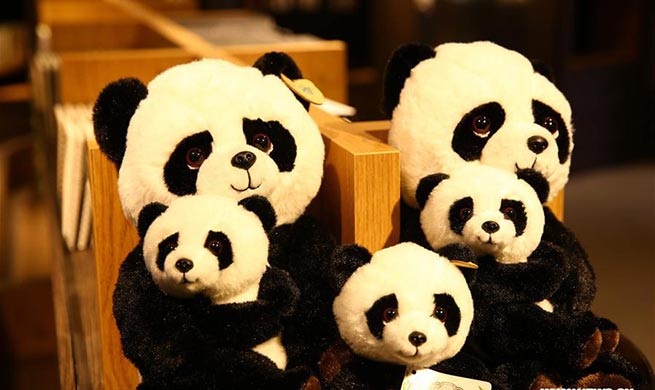 In pics: "Pandasia" at Ouwehands Zoo in Rhenen, Netherlands